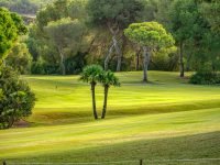 Las Ramblas Golf Course