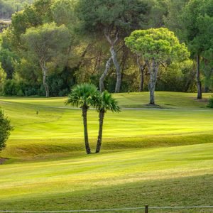 Las Ramblas Golf Course